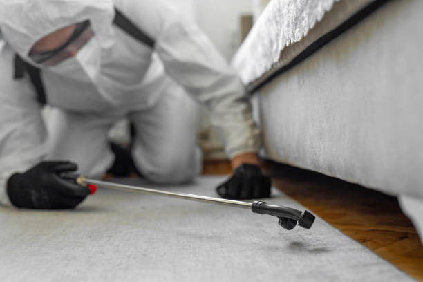 Professional Pest Control technician working in Eglin AFB, FL
