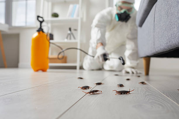 Trusted Cockroach Control service in Eglin AFB, FL - Nex Pest Control