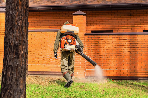 Trusted Termite Control service in Eglin AFB, FL - Nex Pest Control